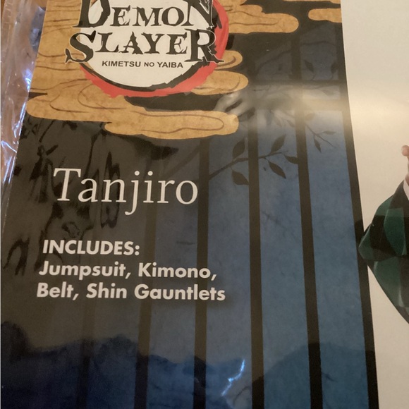 Demon Slayer Tanjiro - Picture 5 of 5